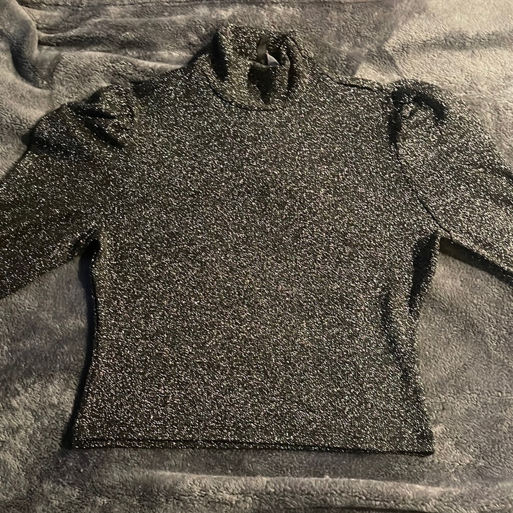 Sparkly long sleeve short turtle neck crop top.